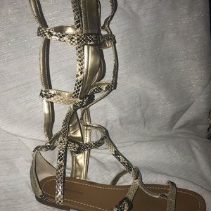 BCBGeneration Faux Snakeskin Gladiator Sandals